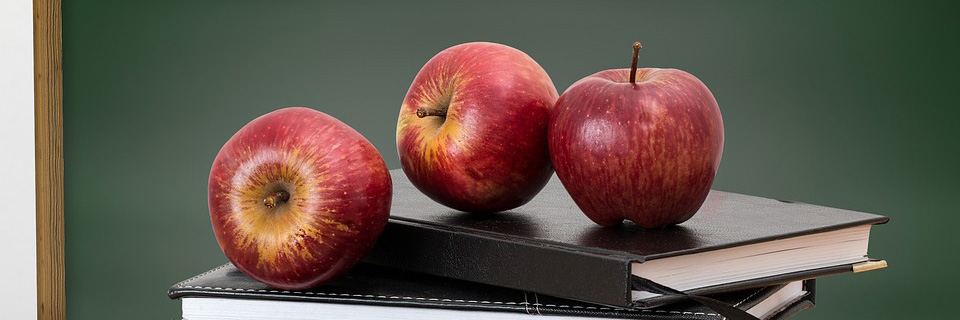 Якщо Вчення – Світло, то вчитель – вимикач